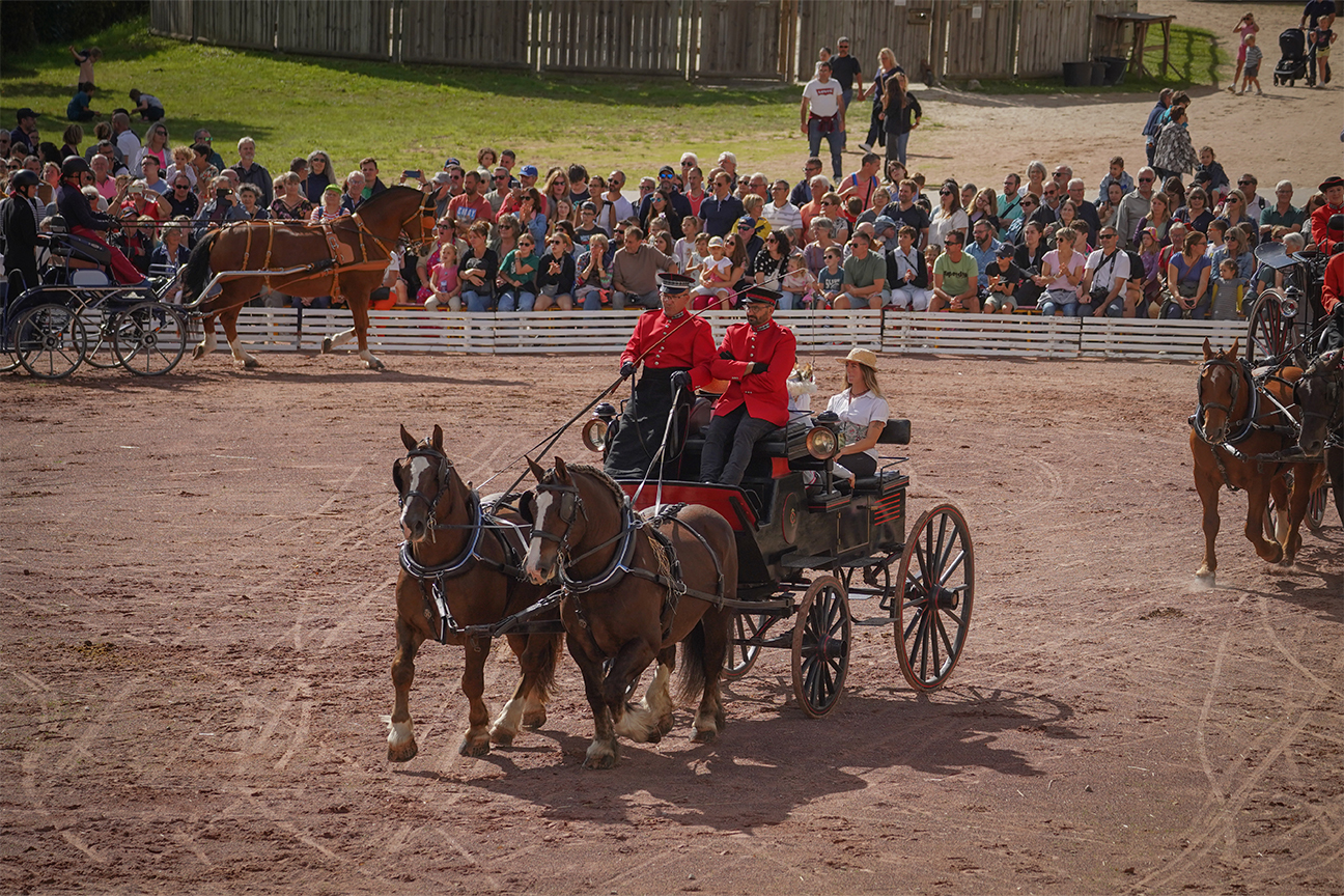 Journées européennes du Patrimoine au Haras national de la Vendée