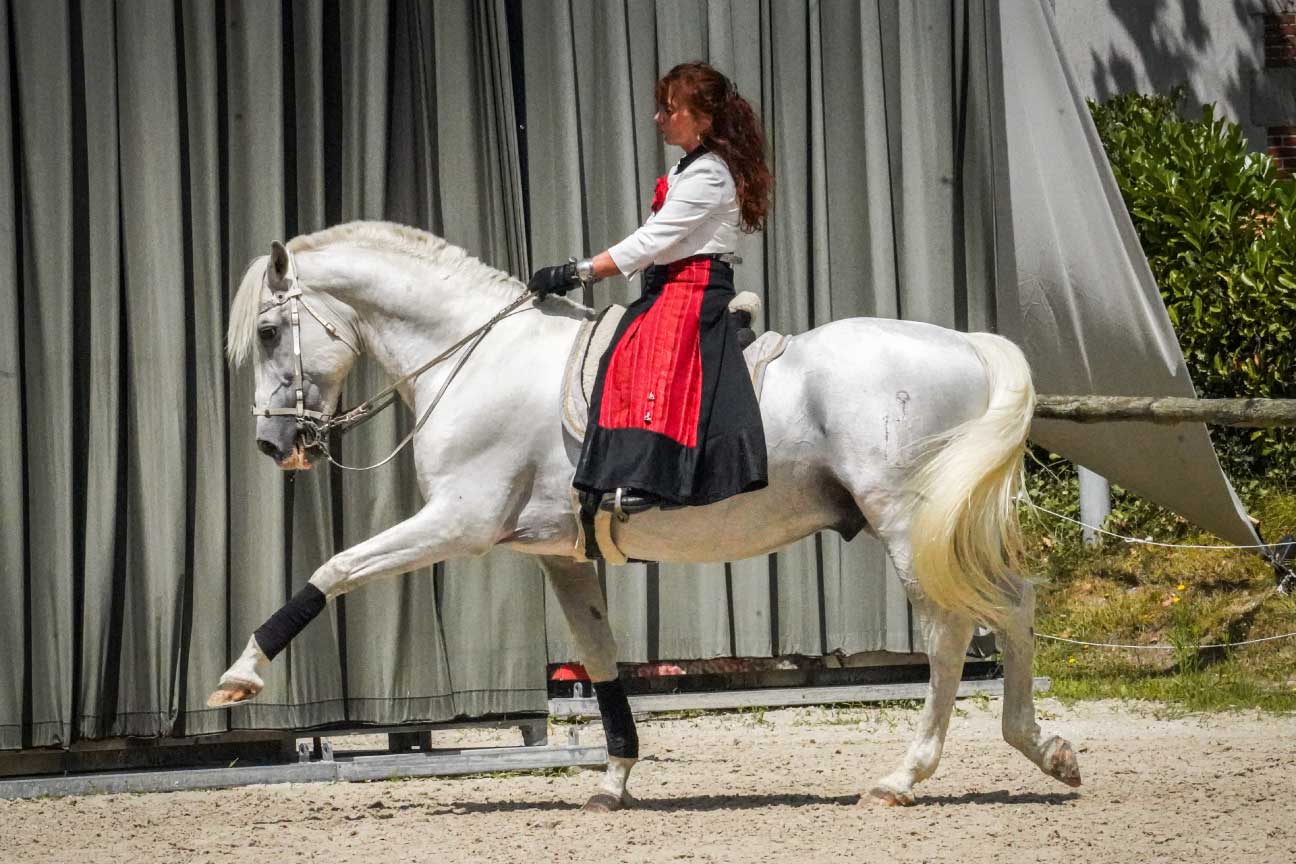 Le printemps au Haras